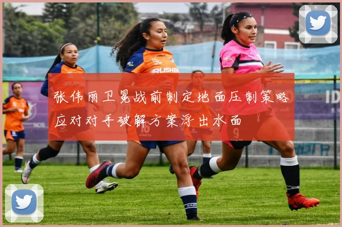 张伟丽卫冕战前制定地面压制策略应对对手破解方案浮出水面